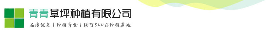 k8凯发真人娱乐手机备用网址